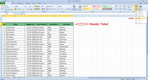 Cara Membuat Filter Data Di Microsoft Excel Cari Cara