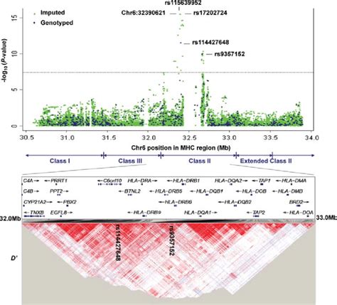 Regional Association Plot For Hpv8 Seropositivity In The Mhc Region