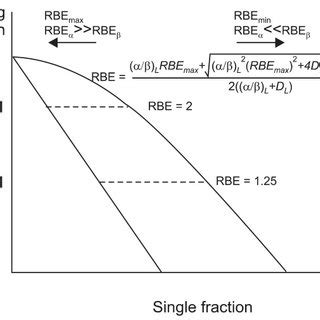 Pdf Basics Of Particle Therapy Ii Relative Biological Effectiveness