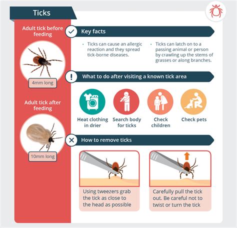 Tick Bites Pictures