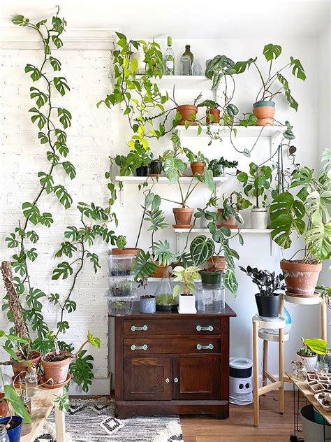 22 Plant Shelf Ideas That Are Perfectly Styled 42 Off