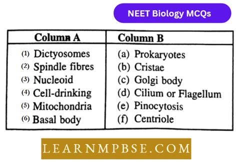 Cell The Unit Of Life For Neet Mcqs Learn Mpbse