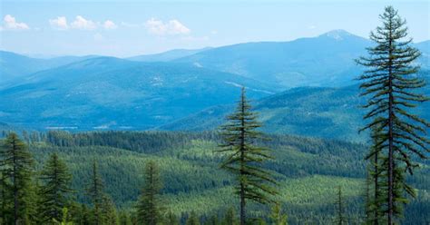 The 10 Best Hikes in the Kootenai National Forest | Montana | Page 2 of ...