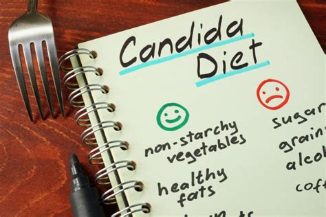 Why The Candida Diet Doesn T Work Healthy Home Economist