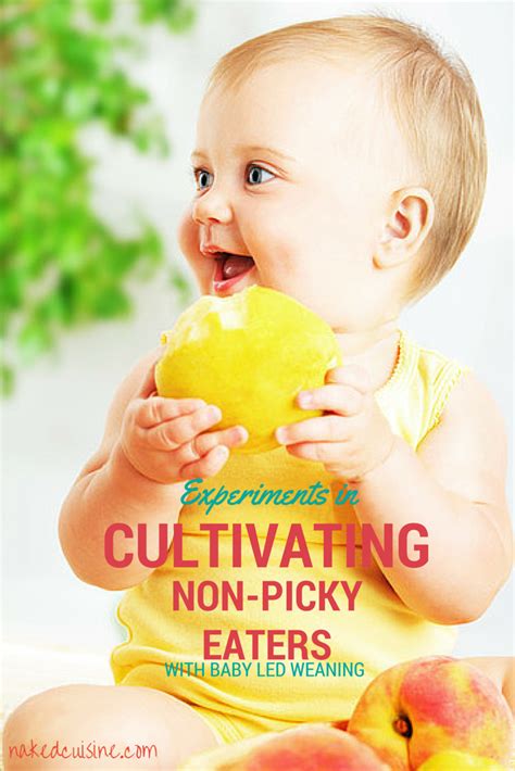 Experiments In Cultivating A Non Picky Eater With Baby Led Weaning