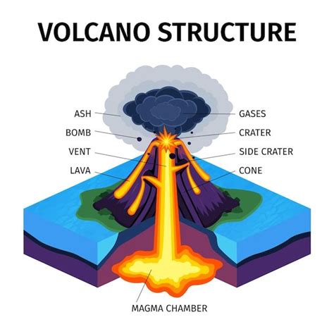 Free Vector Cross Section Of Volcano Isometric Diagram Volcano