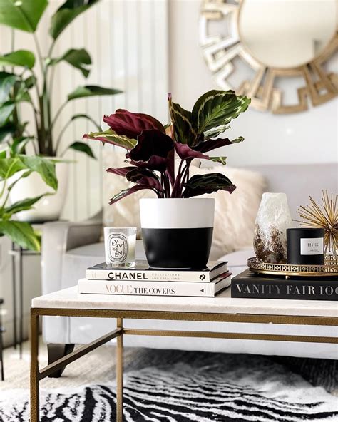 Ansel And Ivy Calathea Medallion Glam Coffee Table Styling Black White