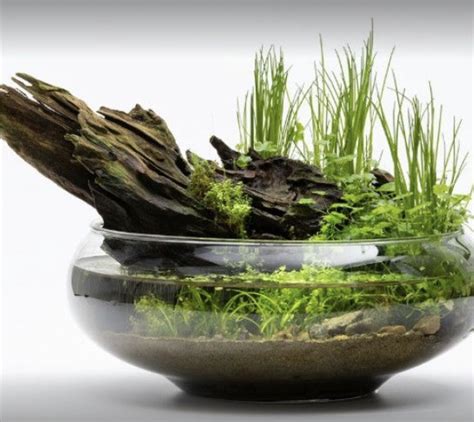 55 Indoor Water Garden Ideas That Fresh Your Room Artofit