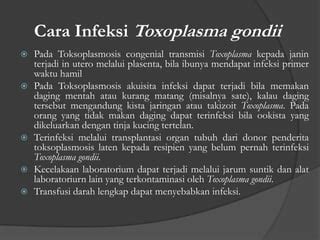 Toxoplasma Gondii PPT