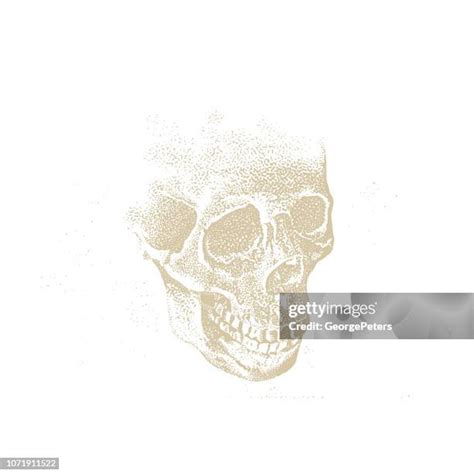 58 Human Jaw Bone Clip Art High Res Illustrations Getty Images