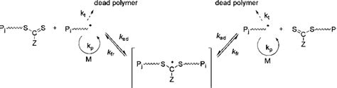 Mechanism Of Reversible Addition Fragmentation Chain Transfer RAFT