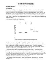 BME440 2021 Lab 2 EMSA And PAGE Pdf 2019 2020 BME440H Practical Week