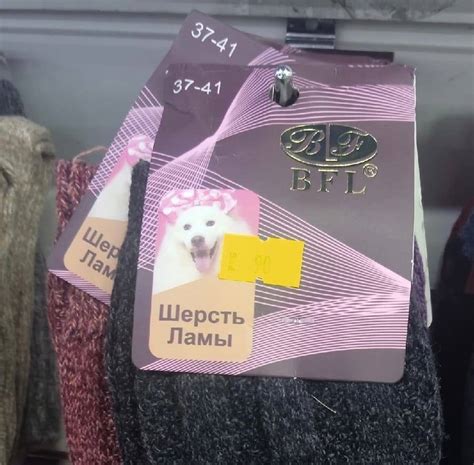 Шерсть Ламы / шерсть :: лама :: носки / смешные картинки и другие ...