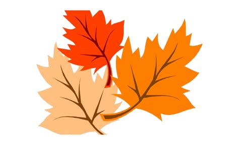 Fall Leaves Corner Clipart 10 Free Cliparts Download Images On