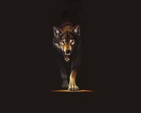 Awesome Wolf Wallpapers Hd