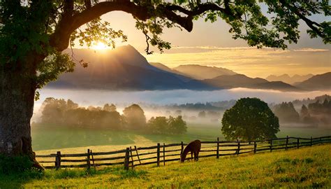 landscape oak meadow mountains  stock photo public domain pictures