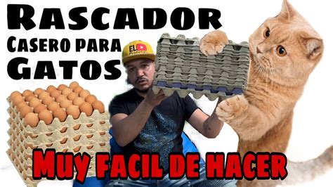 Rascador Para Gatos Casero Hecho Con Cubetas De Huevos Youtube