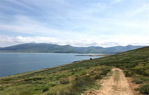 THE 15 BEST Things to Do in Dingle - UPDATED 2021 - Must See ...