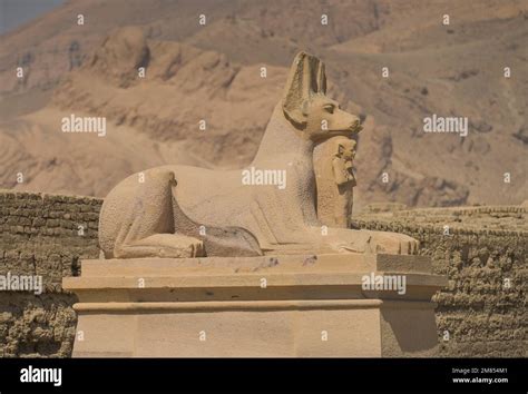 Skulptur Totengott Anubis Ramesseum Theben West Gypten Stock Photo