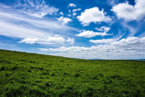 Image Libre Paysage Gazon Nature Herbe Verte Ciel Prairie Champ