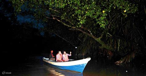 TOUR DU LỊCH NÔNG THÔN BOHOL VÀ NGẮM ĐÁM CHÁM Klook Việt Nam