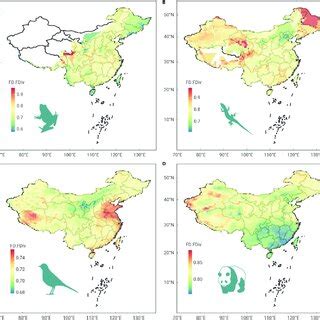 Functional Richness Patterns Of Vertebrate Taxa Amphibians A Lizards