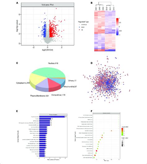 The Effects Of Cki On Proteomics In Bgc 823 Cells A Variance Download Scientific Diagram