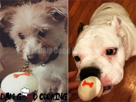 These Major Restaurants Have Secret Menus For Dogs Dam Good Cooking