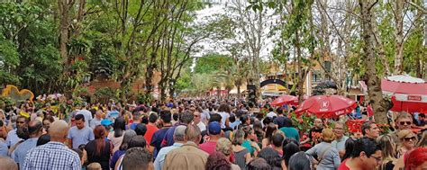 Expoflora Acontece Durante Setembro E Reune Mil Visitantes Em