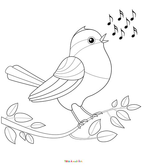 Publique En Tissu Ordonnance Du Gouvernement Coloriage Oiseau