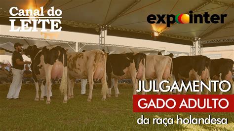 Expointer Julgamento Do Gado Adulto Da Ra A Holandesa Youtube