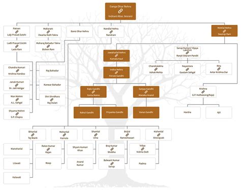 Nehru-Gandhi Family Tree: Here's a Look at Jawaharlal Nehru's Ancestors ...