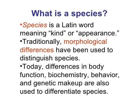 Ap Chapter 24 The Origin Of Species