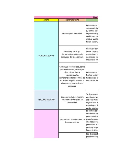 SOLUTION Matriz De Planificacion Anual Studypool