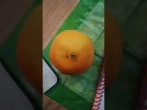 кушаю мандорин - YouTube
