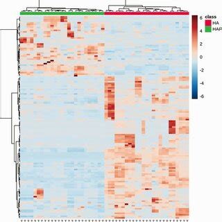 Heat Map Of The Differential Metabolites Between HA And HAP Groups