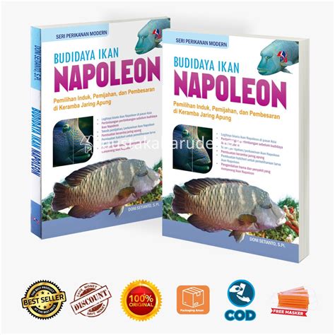 Jual Buku Perikanan Budidaya Ikan Napoleon Pemilihan Induk Pemijahan