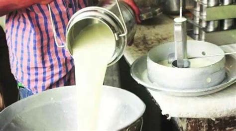 Milk Production । सावधान आता फॅट काढण्यासाठी जास्त दूध घेणाऱ्या संस्थांवर केली जाणार कारवाई