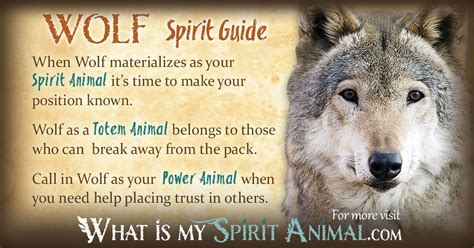 Wolf Symbolism & Meaning | Spirit, Totem & Power Animal