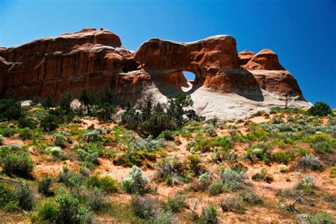 Red rocks of Utah stock image. Image of cliff, mountain - 12721911