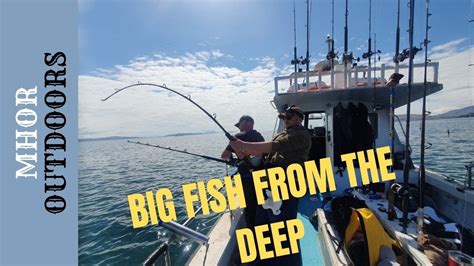 Deep Sea Fishing Scotland Big Fish Youtube