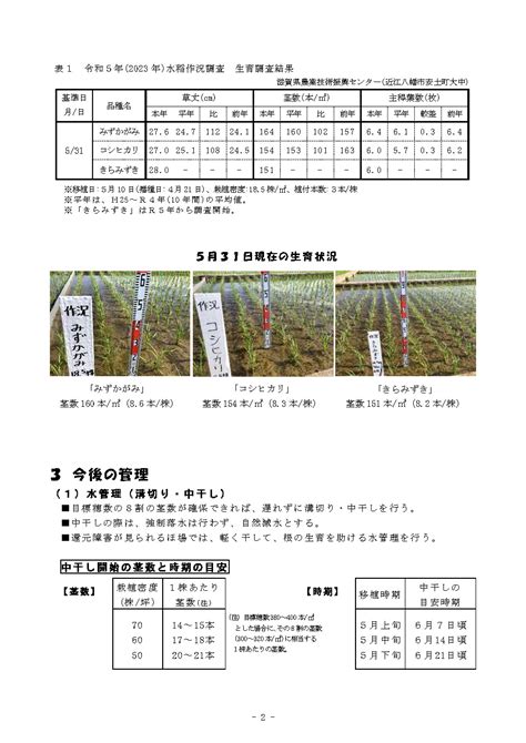 水稲生育診断情報 No1 高島地域農業センター