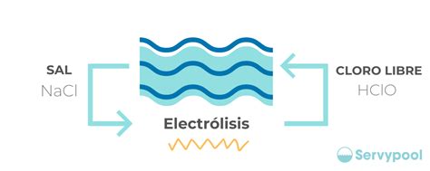 Electr Lisis Salina Para Piscina Ventajas Y Funcionamiento