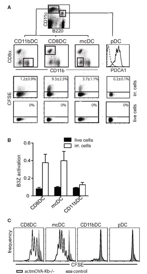 Frontiers Cross Presentation Of Cell Associated Antigens By Mouse