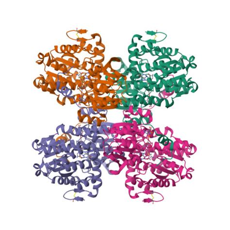 RCSB PDB 7R38 Crystal Structure Of S Adenosyl L Homocysteine