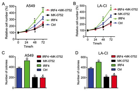 Interferon Regulatory Factor 4 IRF4 Is Overexpressed In Human Non