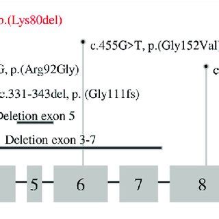 Review of reported DPM1 variants. | Download Scientific Diagram