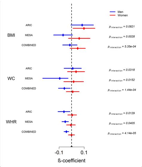 Sex Stratified Analysis Of Association Between Waa And Bmi Wc And Download Scientific