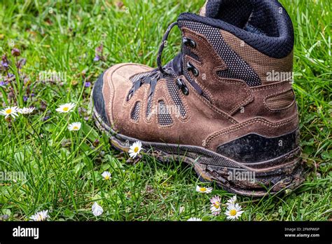 A Worn Hiking Boot With A Defective Heel Stock Photo Alamy