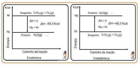 Desenhe Os Diagramas De Uma Reação Endotérmica E Exotérmica E